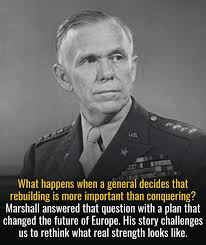 This is the cyclosmis, and its incredible abdomen looks like an ancient  coin! This genus of spider lives in burrows, and it uses the hardened disc  at the end of its abdomen