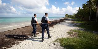 Shoppen sie beim sale und sparen sie bis zu 50% bei einer grossen auswahl an tollen waren. Coronavirus Curfew Implemented In Guadeloupe And Martinique Teller Report