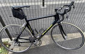 Image result for Monadenium pedunculatum