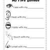 These 5 senses worksheets are a great tool to help your children build vocabulary and practice reading all while learning about their senses. 1