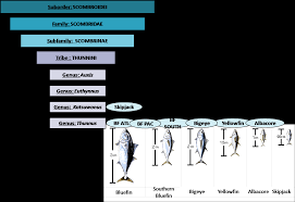 Check spelling or type a new query. Https Www Iddri Org Sites Default Files Img Photos Publis Covers 201811 Tuna Gloablen Pdf