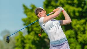 Image result for Emilia juncea