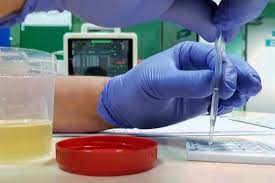 The detox business is a. Urine Drug Screen Uses Procedure Detection Times And Results