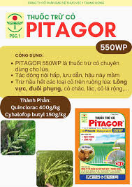 Pitagor 550WP