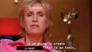 Summer Webb (@saltysciencysum)