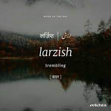 Urdu Words Words Urdu Learn Urdu Urdu World Larzish Hindi Words Urdu Words With Meaning Beautiful Urdu Words