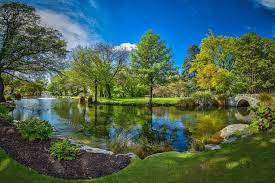 Photo Queenstown Garden New Zealand Park Free Pictures On Fonwall