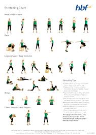 Basic Stretches Diagram Workout Tip 2 Workout Chart Exercise Lower Body Stretches