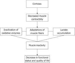 figure 1 from liver transplantation and alcoholic liver