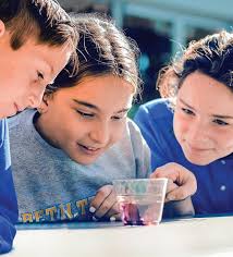 Annual Campaign Support