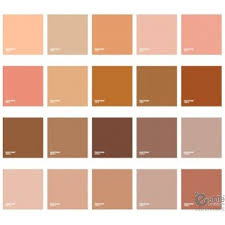 Pantone Skin Tone Guide In 2019 Skin Color Palette