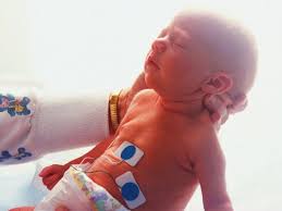 National Geographic: The Incredible Human Body (TV Movie 2002)