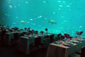 We offer comfortable sophistication and southern charm with a city skyline view. Event Venues In Atlanta Georgia Georgia Aquarium