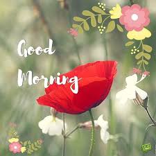Falling in love is one of the most beautiful experiences in we hope that these long good morning messages for her are useful for you, either to inspire you 40. Top 10 Good Morning Messages For Her Good Morning