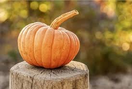 Fotos e imagenes animadas de hortalizas. Tipos De Calabazas Descubre El Top 6 De Las Calabazas Jardineria On