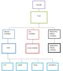 department of english organizational chart curriculum and