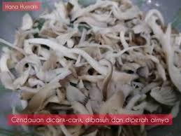 Cendawan yg lebar2 tu,,,apa nama ye 2. Cendawan Telur Goreng Super Simple Must Tryyyyy Youtube