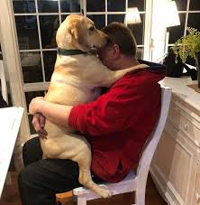 Once a dog comes into our rescue, it stays with us until the perfect family is found. 20 People Who Were Adamant About No Pets But Were Inseparable From Said Pets