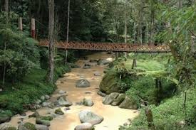 The retreat has a diverse population of more than 43,000 people. Homestay Taman Sedia Cameron Highlands Cari Homestay