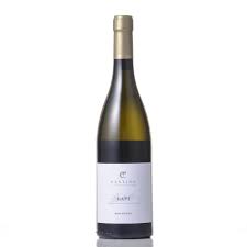 Amazon.co.jp: Castino Gabi Rocketta NV White Wine, Dry, Italy, 25.4 fl oz  (750 ml) : Food, Beverages & Alcohol