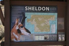 Image result for Little Catnip Spring - Sheldon Refuge Winnemucca NV