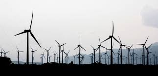 We did not find results for: Revolte Et Morts Suspectes Autour Des Champs D Eoliennes Mexicains