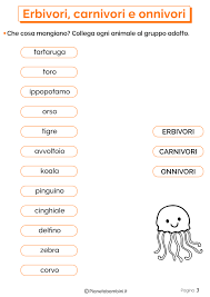 Erbivori Carnivori E Onnivori Schede Didattiche Per La Scuola Primaria Scuola Scienza Per Bambini Lezioni Di Scienze