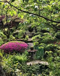 Tatton Park Japanese Garden Today Monty Don May 18 Japanese Garden Garden Waterfall Garden Styles