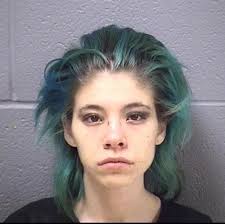 Will Co. Jail April 3