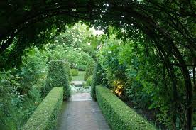 A Spanish Garden With Topiary Designed By The Landscape Architect Christopher Masson Photography Harpur Garden Images Garden Images Spanish Garden Garden Design
