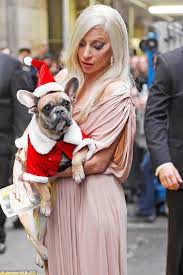 The singer had been in rome at the time filming a. What Is Gaga S 3rd Dog S Name Gaga Thoughts Gaga Daily