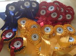 Paws4pets, established here in the algarve for over 13 years, supplies good quality, natural and holistic foods and. Algarve Dog Show My Guide Algarve