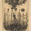 Bien que la fleur de cerisier fasse partie des symboles japonais, elle n'est pas la seule à être à l'honneur, onze autres le sont tout au long de l'année dans le pays. 1