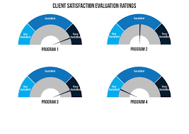 Stephanie Evergreen Reblog Qualitative Data Visualization