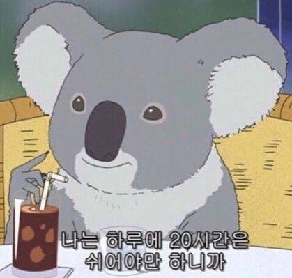 웃긴짤/웃긴짤모음/공감짤/재밌는짤/무도짤/병맛짤/카톡짤/카톡프사짤 : 네이버 블로그