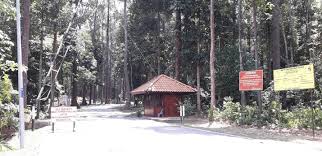 Jeti, pondok rehat, tapak perkhemahan dan denai hutan. Mohd Faiz Bin Abdul Manan Pusat Edu Ecotourism Sg Menyala