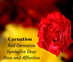 Pin On Quotes Flowerfacts