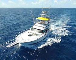 fishing boats in Paradise Island, Bahamas