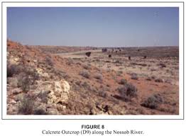 Image result for Sporobolus bechuanicus