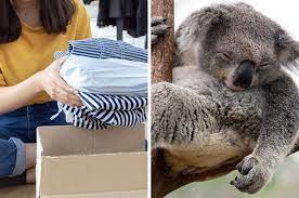 Which is the best coffee machine cleaning product? 10 Small Ways You Can Help The Australian Bushfire Relief Effort