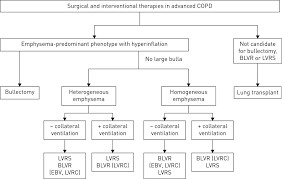 precision medicine in copd where are we and where do we