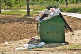 Is it Okay to Dumpster Dive in Michigan? - Lansing