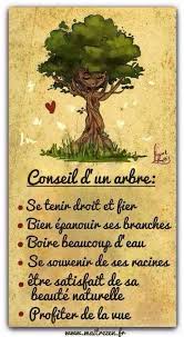 Pour Inspirer Une Serie Arbre Soit En Photo Soit En Projet Artistique Citation Proverbes Et Citations Je Pense A Toi