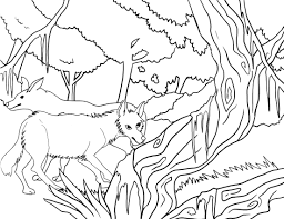 Why don't you let us know. Printable Coyote Coloring Pages For Kids