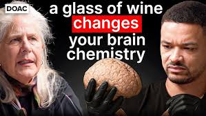 The No.1 Brain Doctor: This Parenting Mistake Ruins Your Kids Brain &  Alcohol Will Ruin Yours!