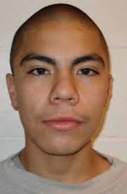 Lakeport Police arrest Santa Rosa man for vehicle theft, warrant