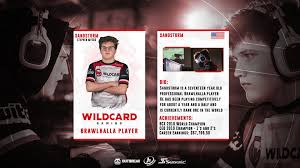 I've wondered for a while how old sandstorm is. Twitter à¤ªà¤° Wildcard Gaming This Week Our Pro Spotlight Is Gdsandstorm Sandstorm Is The 1 Ranked Brawlhalla Player With Over 67 000 In Career Earnings Read This Article About Sandstorm And His