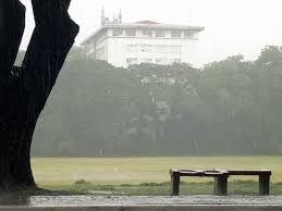They are in a display area separated from the walkway. A Rainy Day In Sunken Garden Up Diliman Philippines