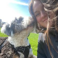 Dog teeth cleaning and extraction costs?