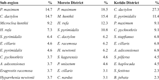 Image result for Hyparrhenia newtonii